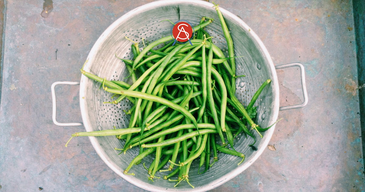 Garlic Parmesan Lemon Butter Snap Beans