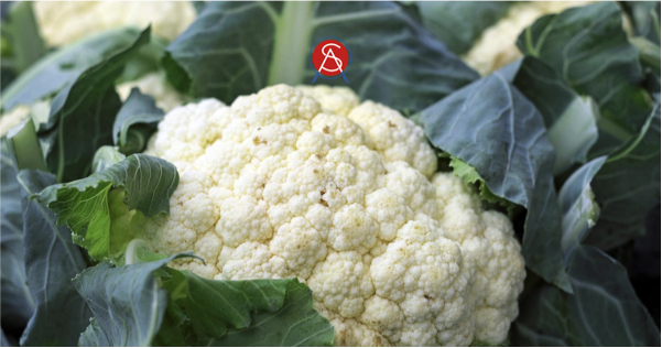 Simple Roasted Cauliflower with Creamy Lemon Dip