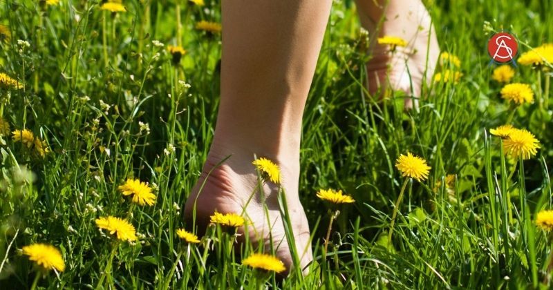 New Data Showing Walking Without Shoes May Be Beneficial